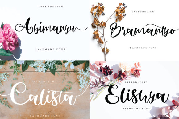 Abimanyu: A Timeless Script Handwritten Font for Modern Design