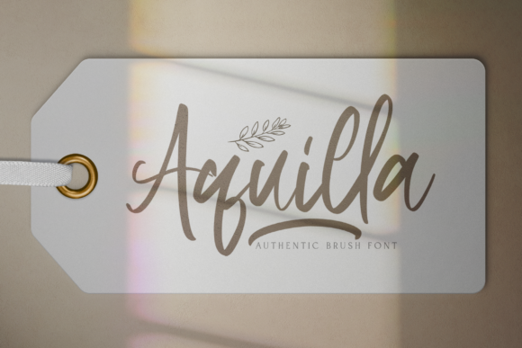 Aquilla Script Handwritten Font for Elegant Campaign Design