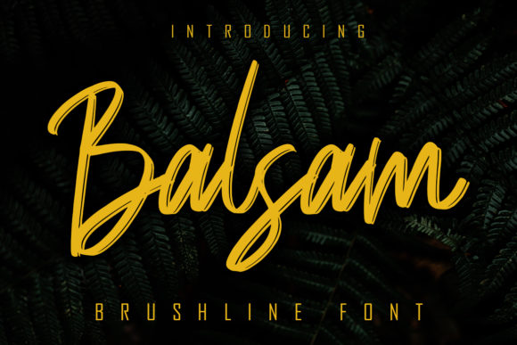 Balsam: A Relaxed Script Handwritten Font for Elegant Branding
