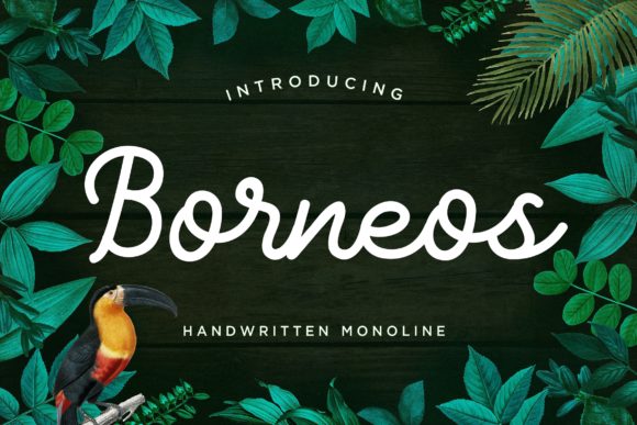 Borneos: A Script Handwritten Font for Warm, Human Branding