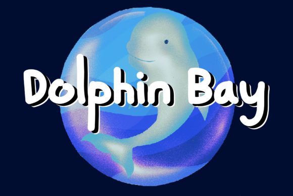 Dolphin Bay Script Handwritten Font for Makers