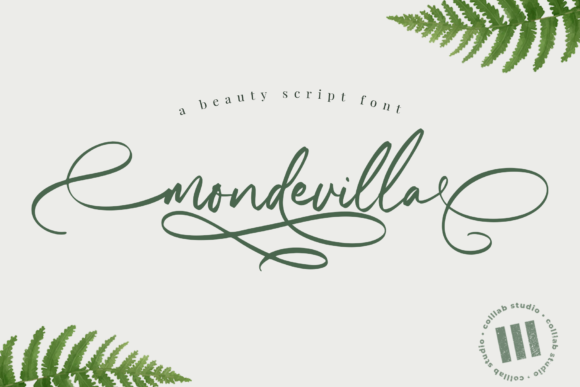 Mondevilla Script Handwritten Font for Elegant Craft Design