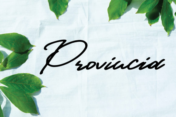 Provincia: A Timeless Script Handwritten Font for Editorial Design