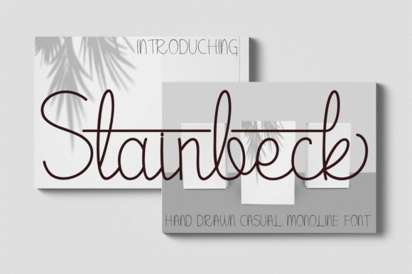 Stainbeck: A Delicate Script Handwritten Font for Editorial Design