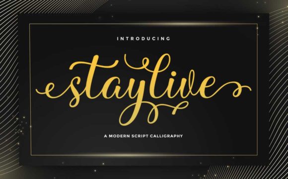 Stay Live: A Script Handwritten Font for Elegant Branding